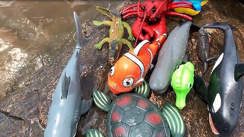 Sea Animal Toys This Summer at the Shore