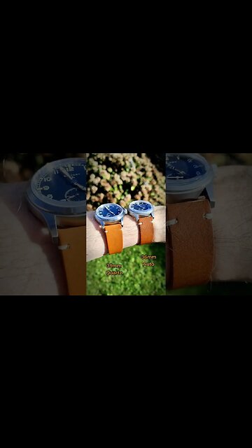 Which Baltany Dirty Dozen? #shorts #HWR