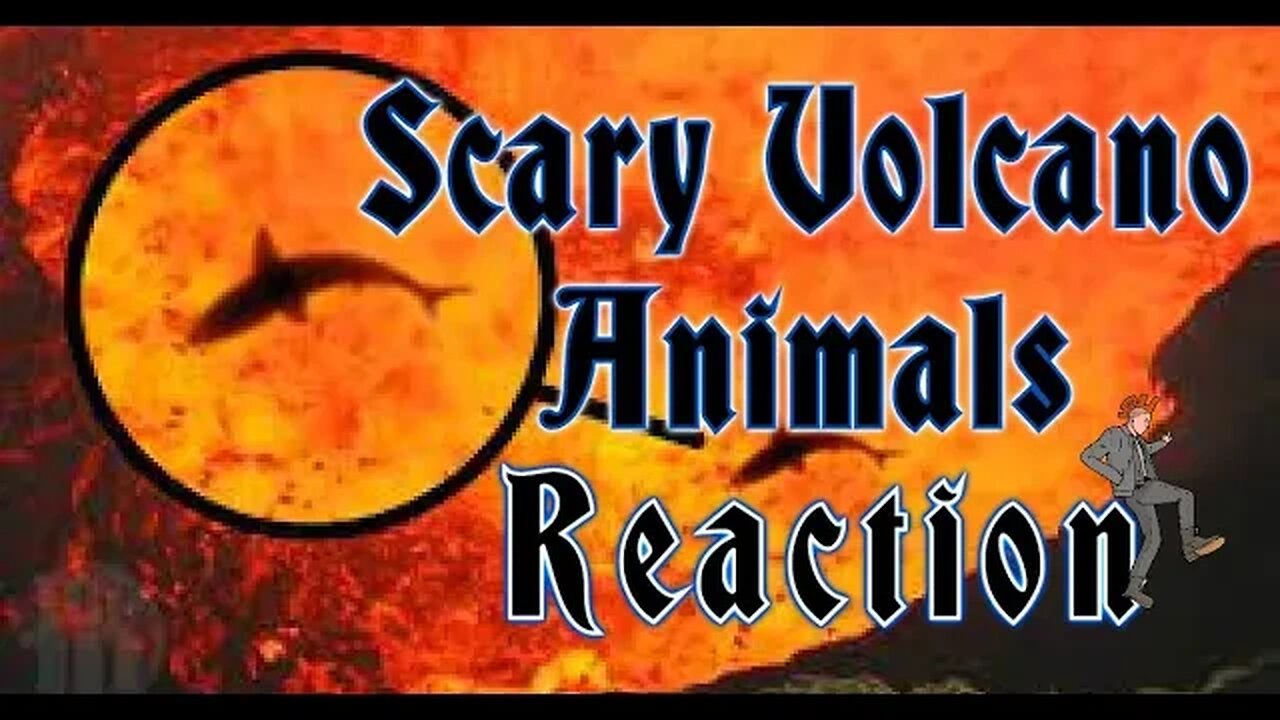 Scary Volcano Animals You Can't Believe Exist OR Can You? Sharks! Punk Rock Parents REACTIONs