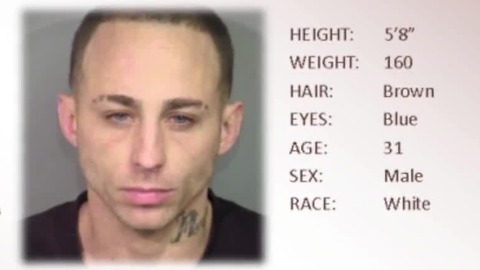 Fugitive involved in hit-and-run crash has 5 prior felonies