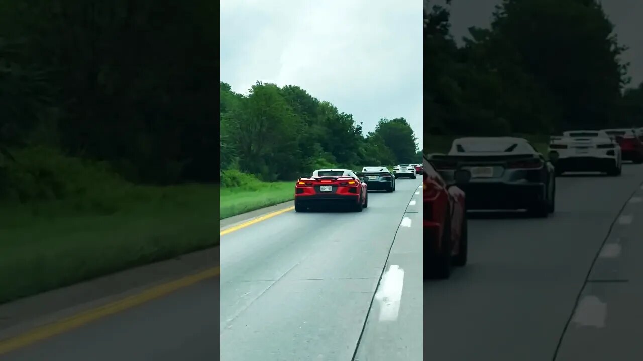 C8 Corvette Convoy #summerloadingwithyoutube #shorts #corvette