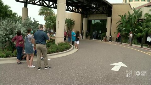 Protesters gather in St. Pete