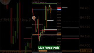 live trade in forex #shorts