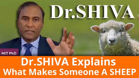 This Is How Someone Becomes A SHEEP.