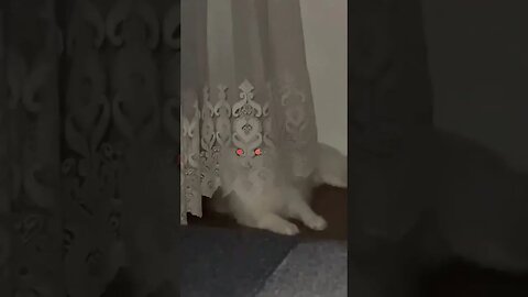 CatMagick