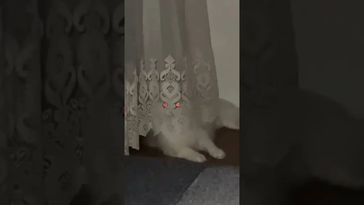 CatMagick