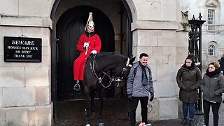 The horse just wants attention #horseguardsparade