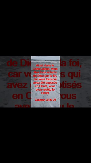 Verset Du Jour | Lecture Inspirante Pour Commencer La Journée. | 15