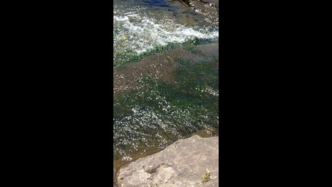 Toledo bend Dam