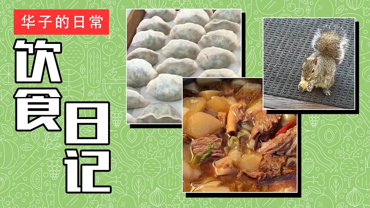 饮食日记(4) Special Visitor, Dumplings, Brisket & Radish