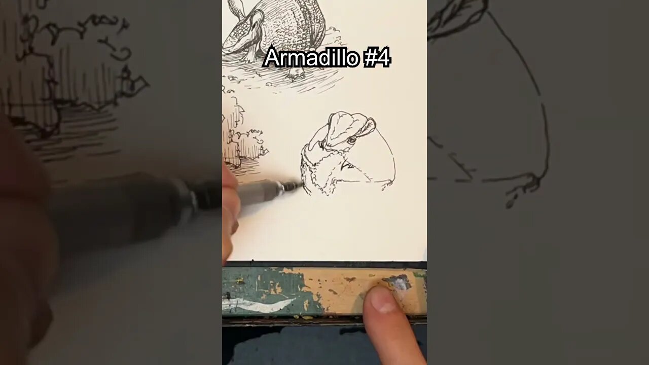 Drawing armadillos for Inktober Day 15 #shorts