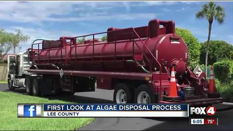 Crews beginning work to remove algae