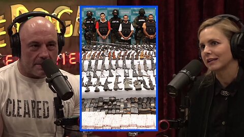 Cops Trafficking Guns to Mexico | Joe Rogan Experience w/ Mariana van Zeller