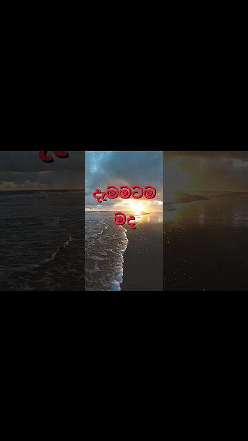 🔴සමෘද්ධි සහනාදාර Samurdhya Sahanadara #short