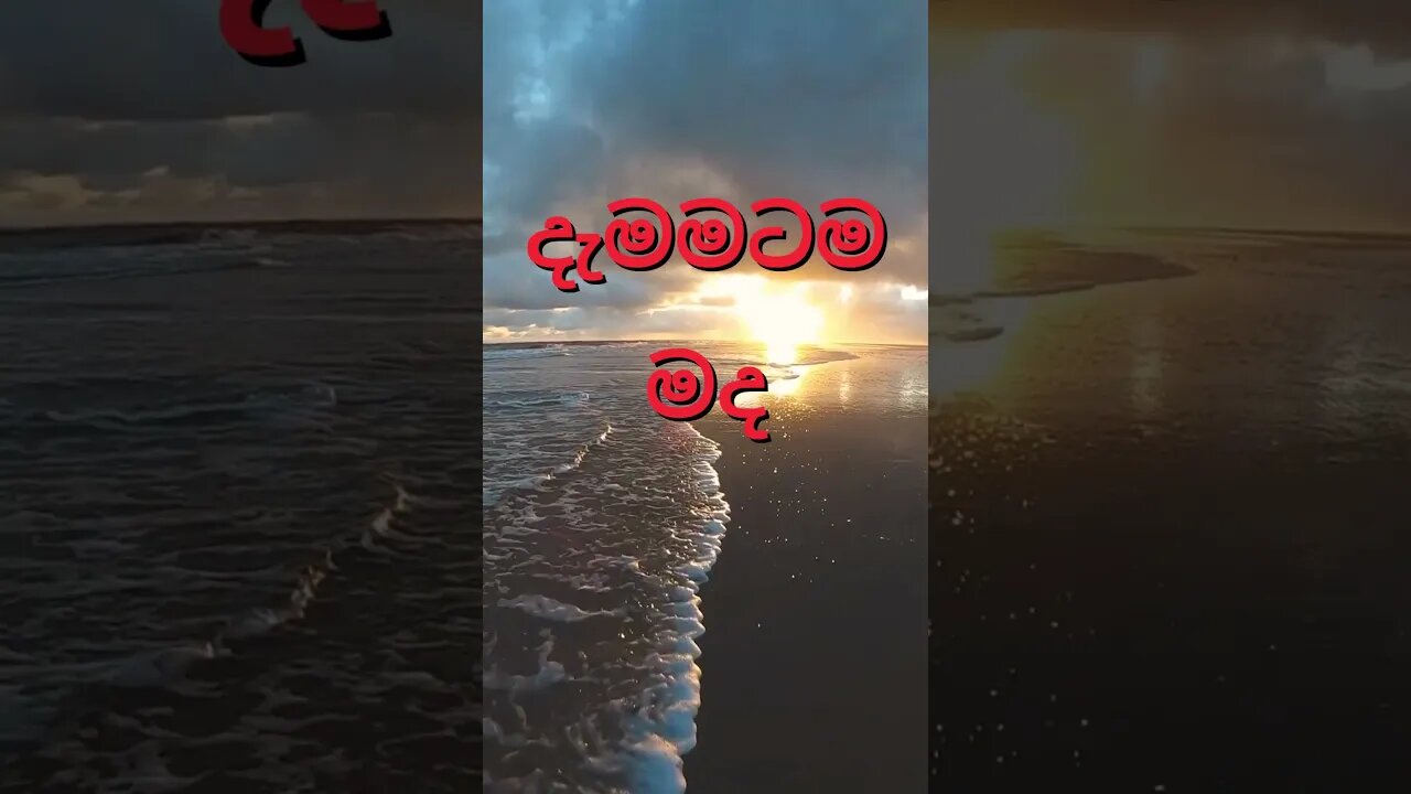 🔴සමෘද්ධි සහනාදාර Samurdhya Sahanadara #short