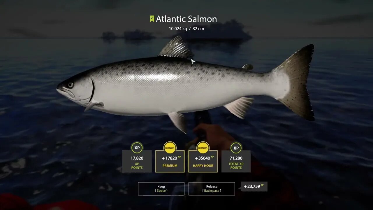 Russian Fishing 4 Ladoga Archipelago Atlantic Salmon 10 . 024 Kg