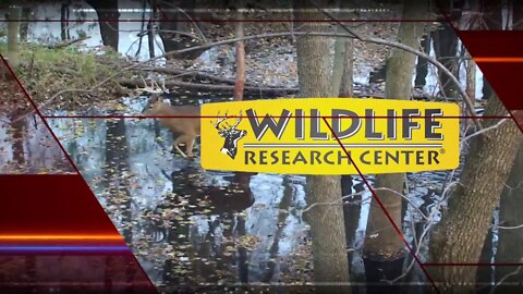 MidWest Outdoors TV Show #1645 - New Deer Hunting Innovations from Wildlife Research