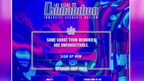 Cannabis museum coming to downtown Las Vegas