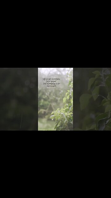 Experiencing Life: Beyond Problem Solving #shorts #clutteredthoughts #problemsolving