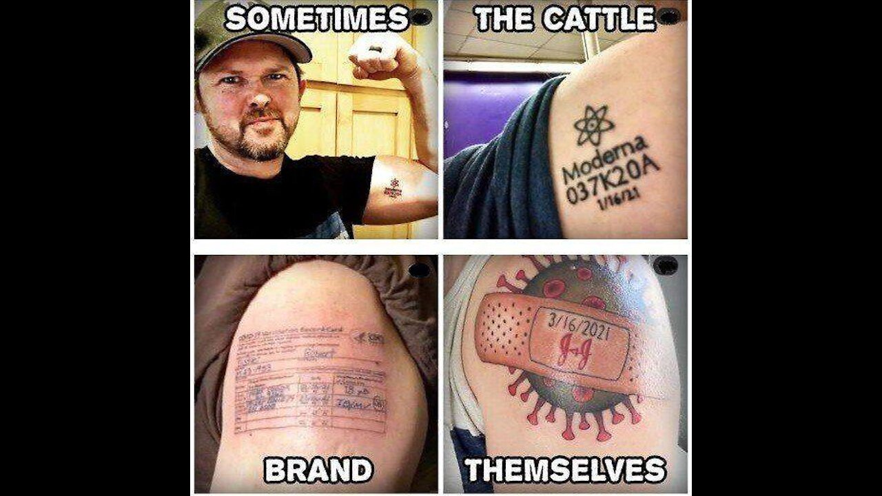 V@XXED blood is USELESSđź’‰