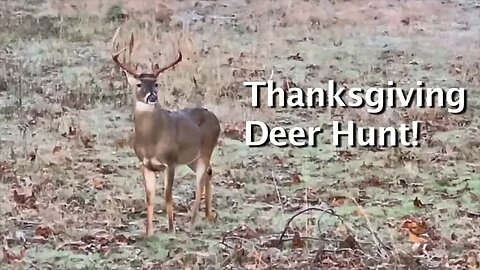 Big Buck Walk and Big Buck Hunt!