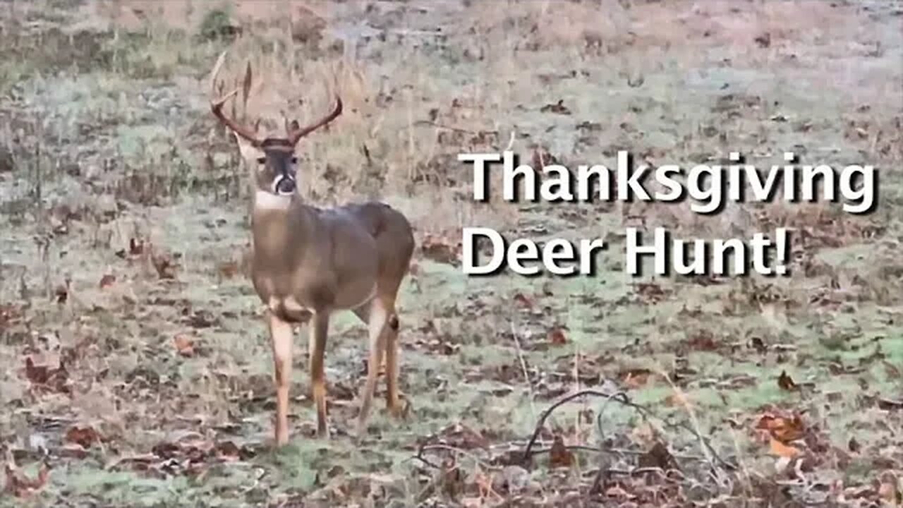 Big Buck Walk and Big Buck Hunt!