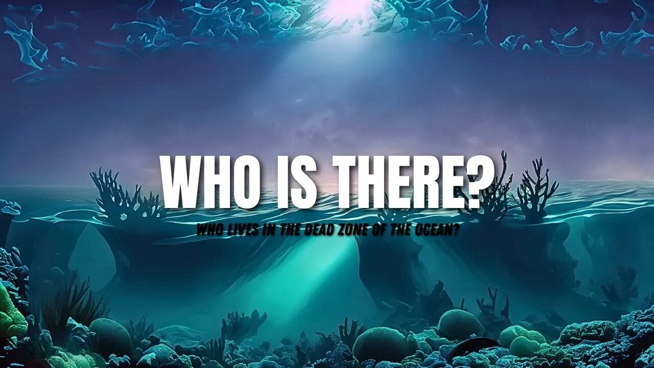 Who Lives In The Dead Zone Of The Ocean?