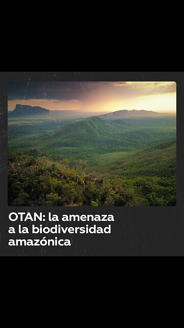 Vicepresidenta venezolana advierte sobre las aspiraciones de la OTAN en Amazonia