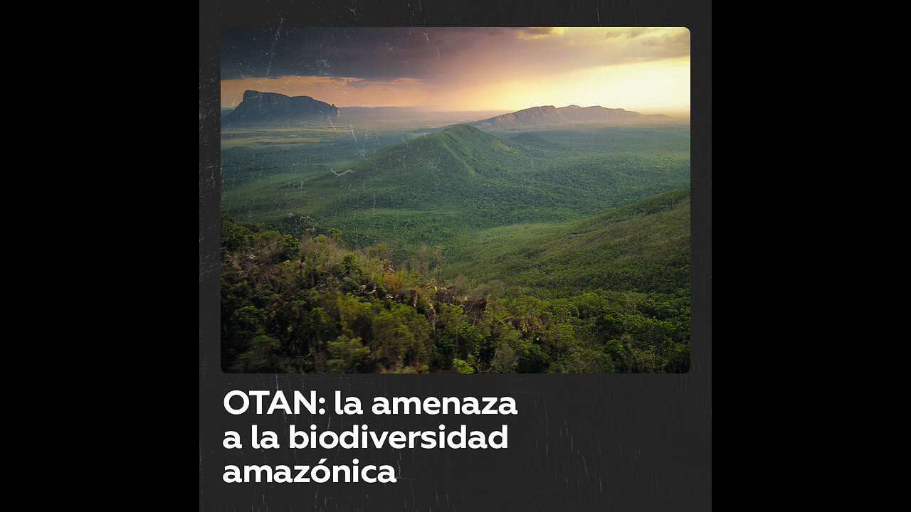 Vicepresidenta venezolana advierte sobre las aspiraciones de la OTAN en Amazonia