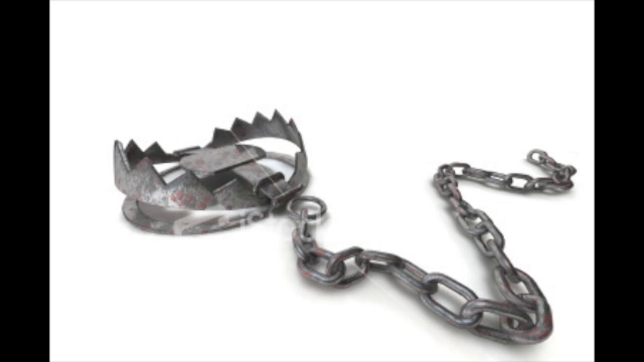 2014-09-04 - Just a Taste