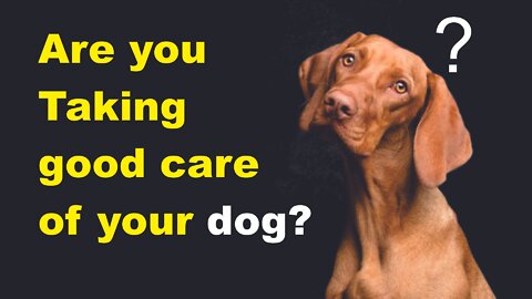 Are you taking good care of your dog?