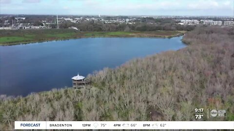 Walking Club: Exploring Sawgrass Lake Park in St. Pete