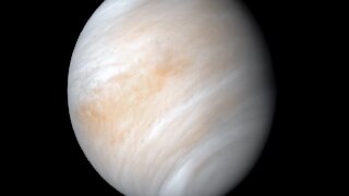 Gas on Venus could lead to signs of life