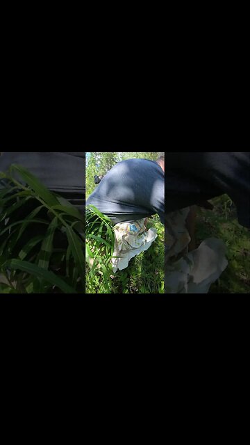 WAZOO Bandana | TJack Survival