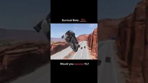 BeamNG DRIVE / survival rate