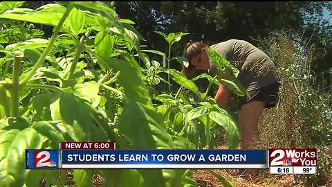 Internship offers organic gardening experience for high school students