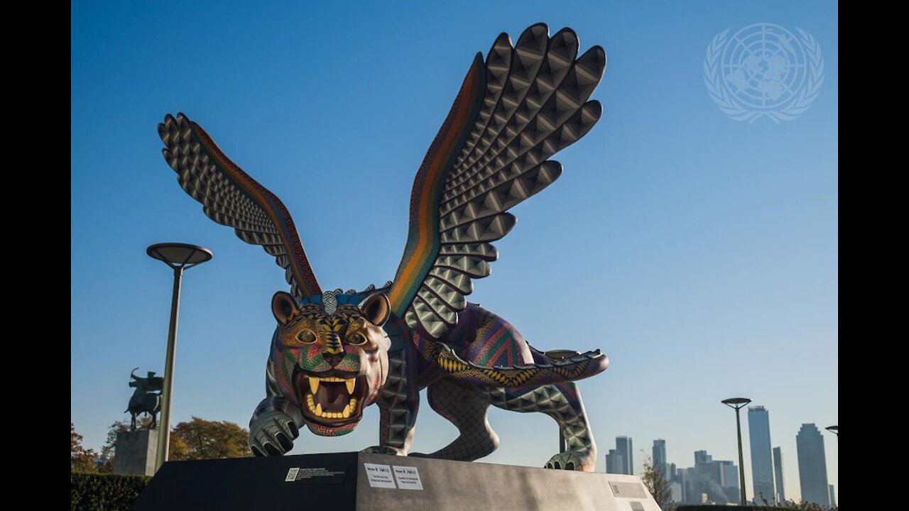 Let's Chat about him!