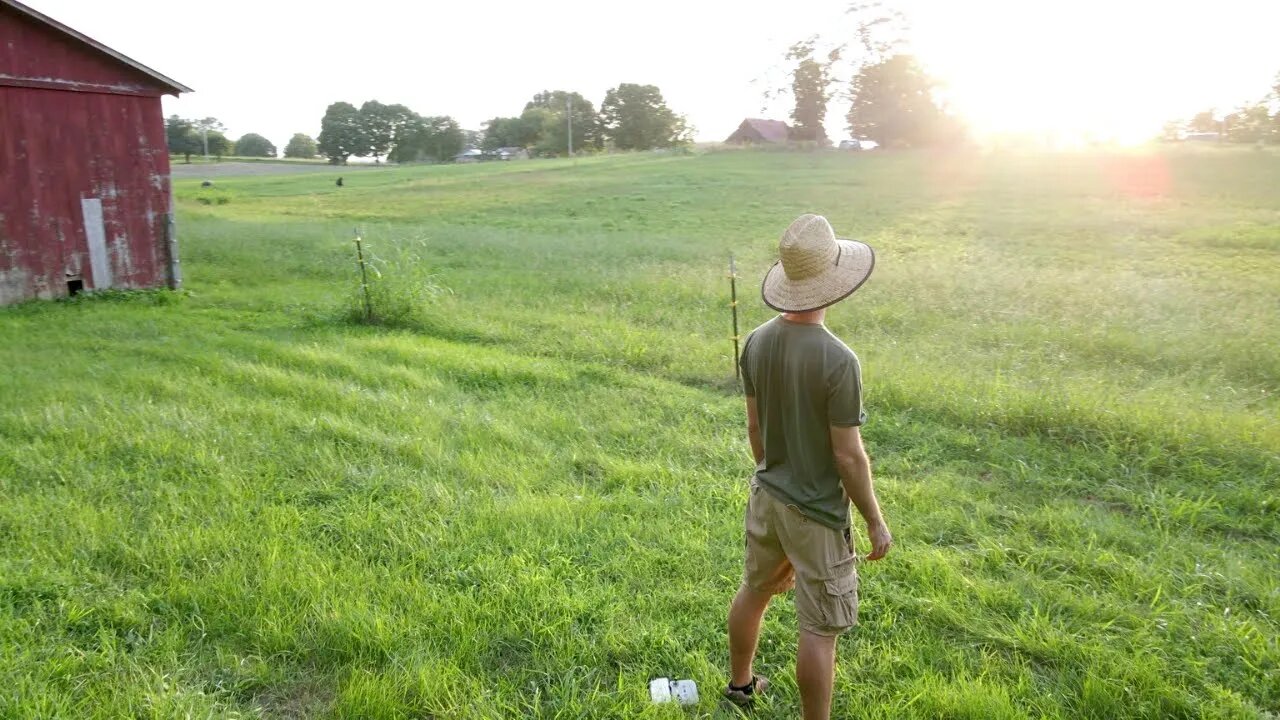 My Dream Finally Came True | Welcome to the Homestead