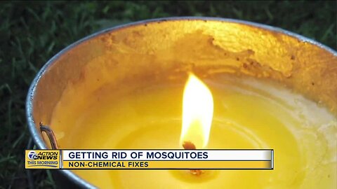 Non-chemical ways to get rid of mosquitoes