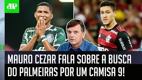 "Eu ACHO ENGRAÇADO porque..." Mauro Cezar MANDA A REAL sobre busca do Palmeiras por CENTROAVANTE!