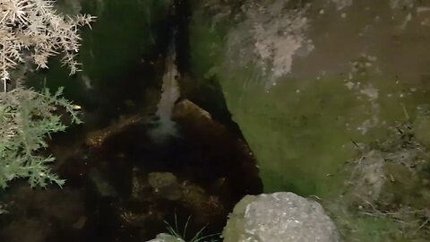 love the Samsung S8 for night filming..night hiking Dartmoor. June 2022