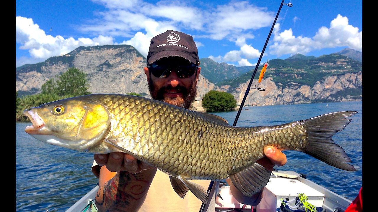 THE GARDA'S LAKE GIANT CHUBS🐋 🐋 🐋SPINNING FROM THE BOAT