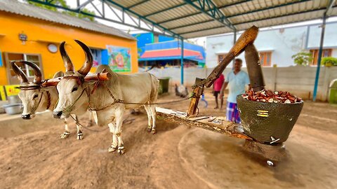 Nature's Muscle Bull-Driven Extraction for Pure Coconut Oil