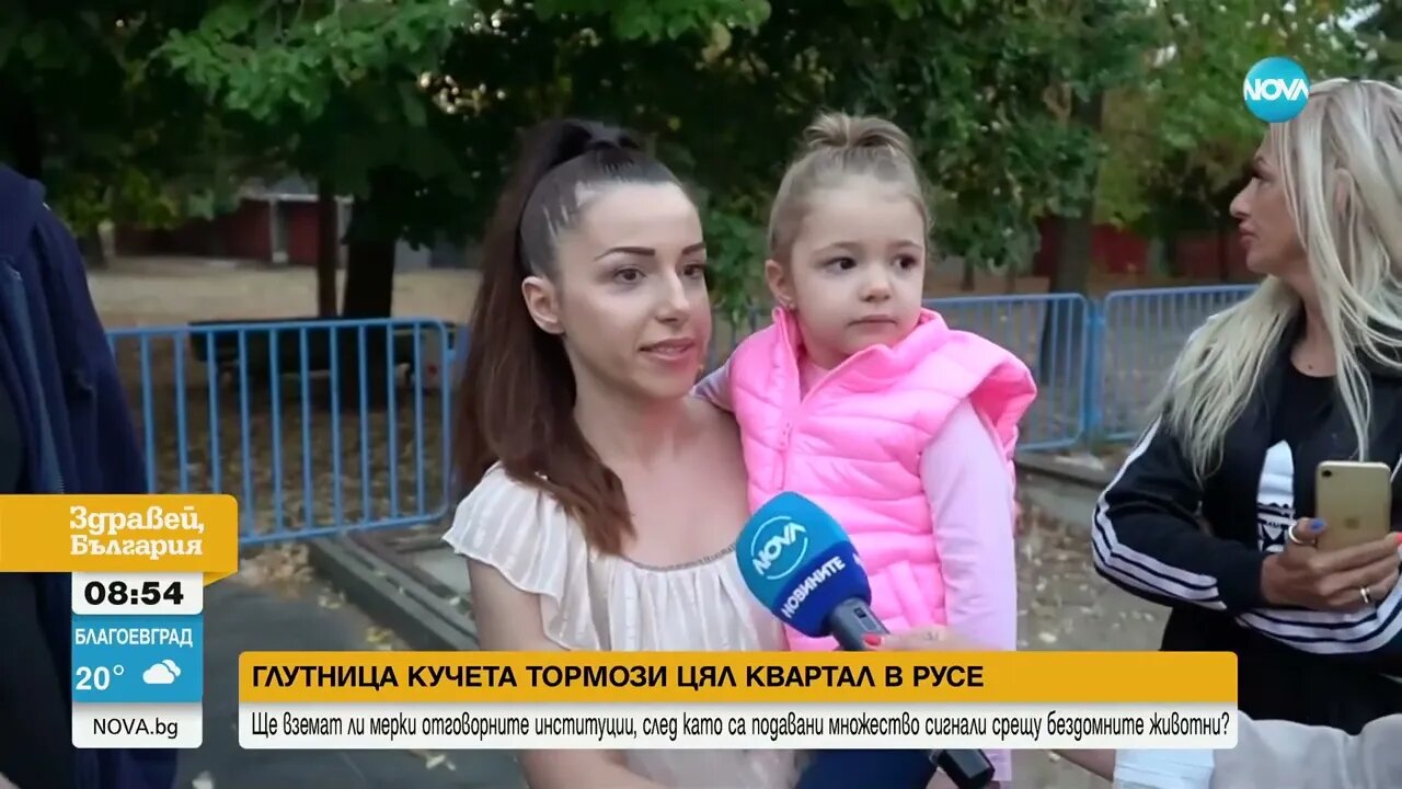 Бездомни кучета тормозят живеещите в няколко блока в Русе