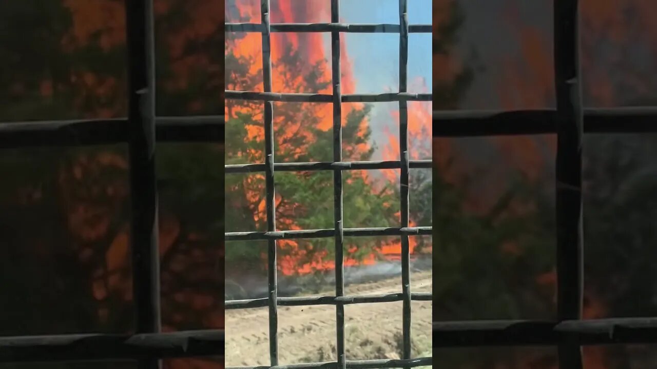Burn out operation from a few weeks ago