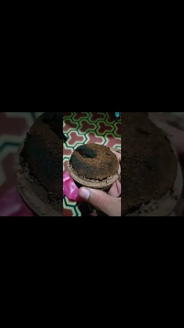 أفضل أكل لجو حار