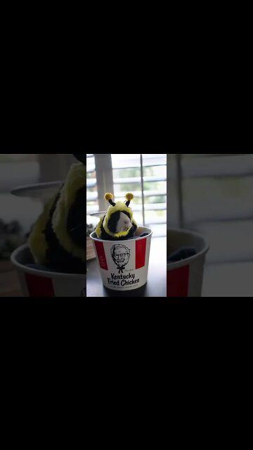 1Min Animal World #dogs #cats #pet