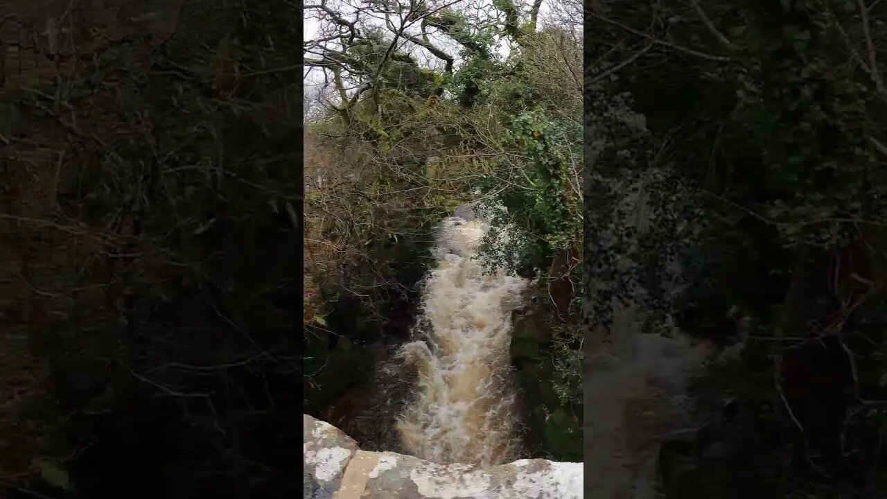 Shipley Bridge. Avon River. Dartmoor. GoPro 23rd March 2023