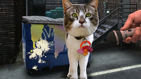 Graffiti Gato, Episode Two - Sign Your Name Across My Fart, I Want You To Be My Kitty