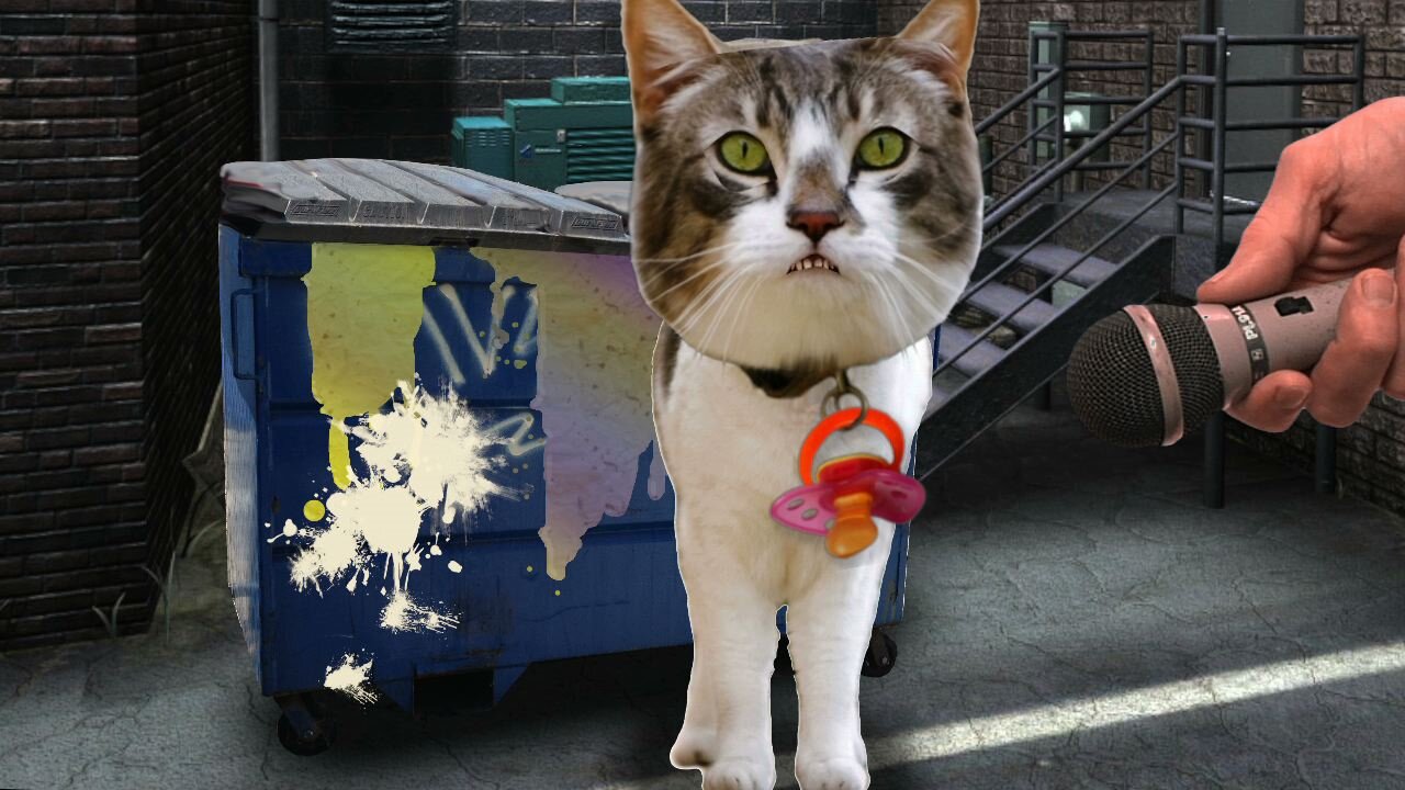 Graffiti Gato, Episode Two - Sign Your Name Across My Fart, I Want You To Be My Kitty